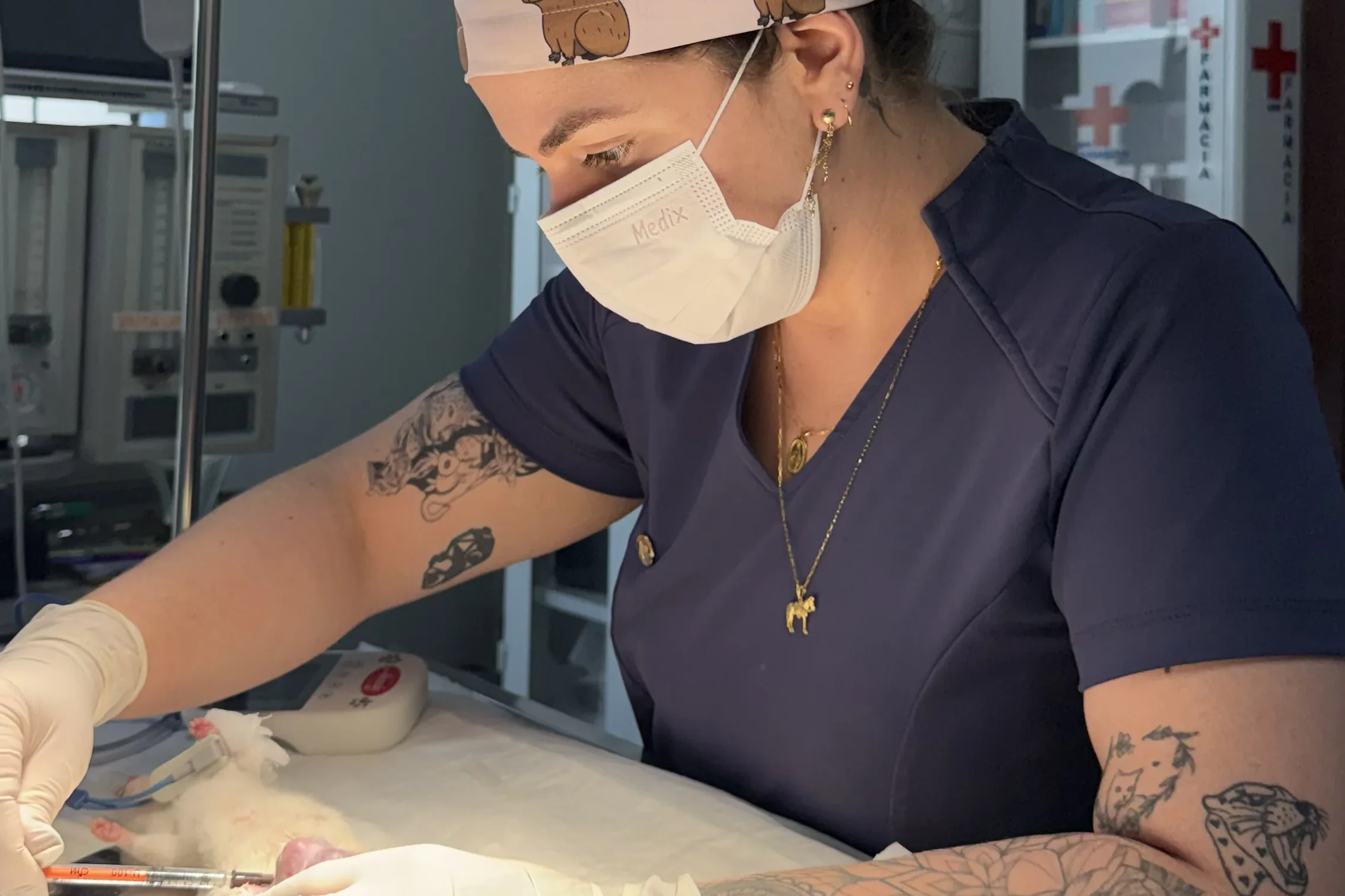Equipe de veterinários da Fauna Pet