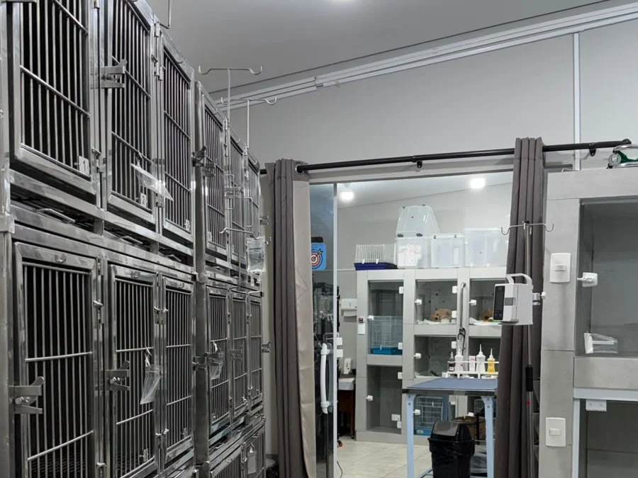Área de internação com boxes individuais