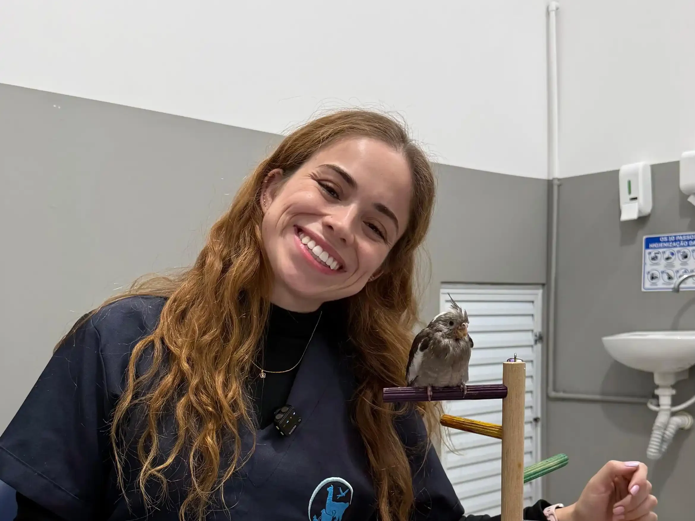 Veterinária em atendimento clínico na Fauna Pet
