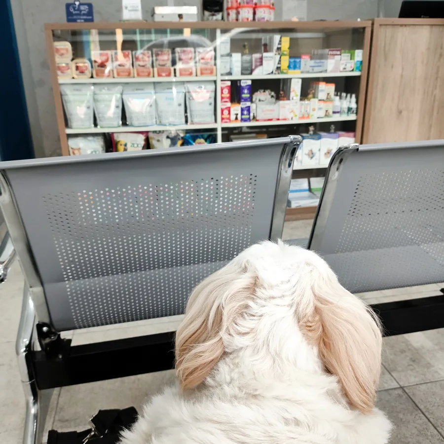 Bancada da farmácia interna do Hospital Veterinário Fauna Pet