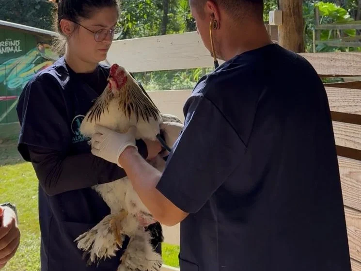 Veterinário da Fauna Pet fazendo o manejo de um réptil