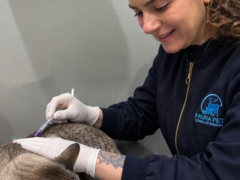 Manejo de uma ave durante atendimento na Fauna Pet