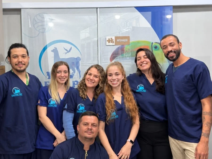Veterinário da Fauna Pet atuando em procedimento